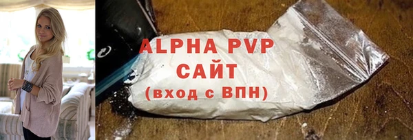 стафф Алексин