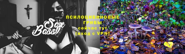 MDMA Premium VHQ Алзамай