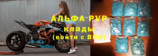 стафф Алексин